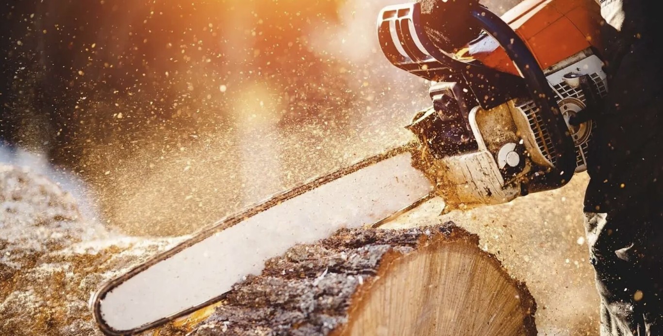 Professional tree service equipment cutting wood in Portsmouth, VA