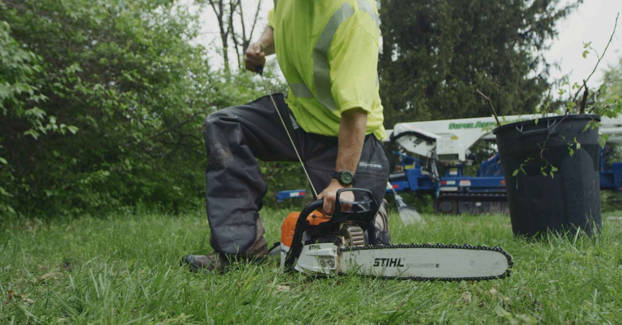 Tree trimming and pruning services in Portsmouth, VA